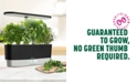 AeroGarden Goodful™ by Harvest Slim Countertop Garden & Gourmet Herbs Seed Kit